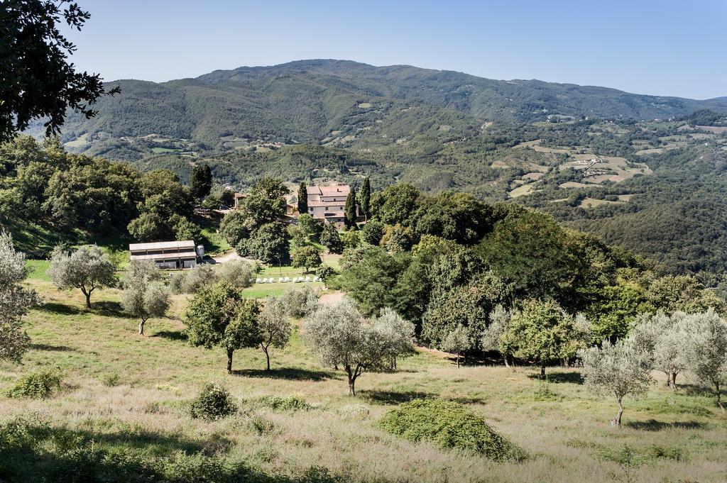 Agriturismo Di Baroni Enzo Dicomano ภายนอก รูปภาพ