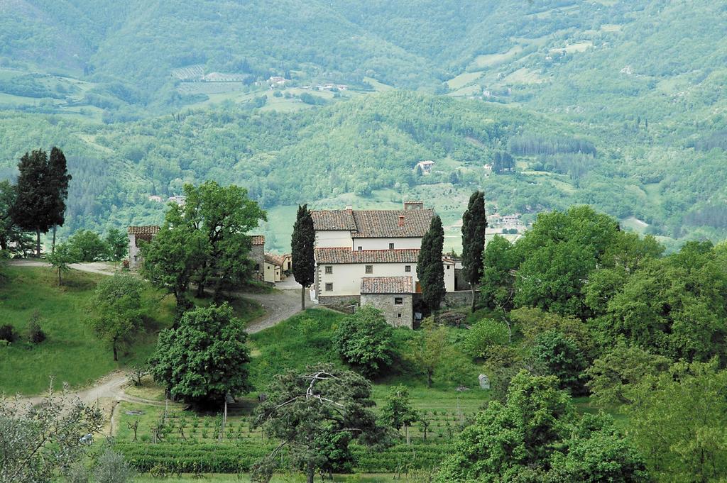 Agriturismo Di Baroni Enzo Dicomano ภายนอก รูปภาพ